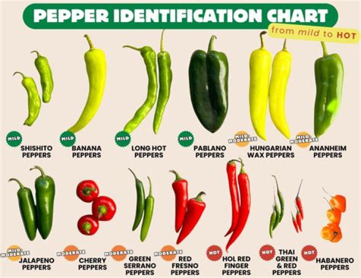 Do mini peppers need to be refrigerated?