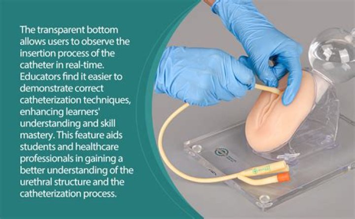 Do you get a catheter during C-section?