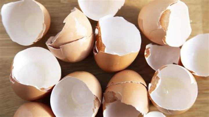 Do you need to wash eggshells before composting?