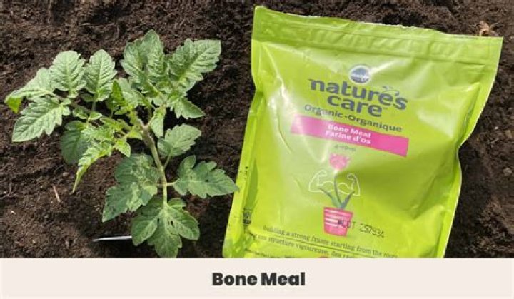 Does bone meal add nitrogen?