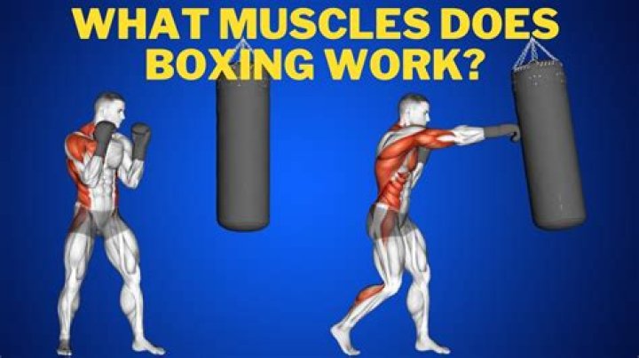 Does boxing make your arms skinny?