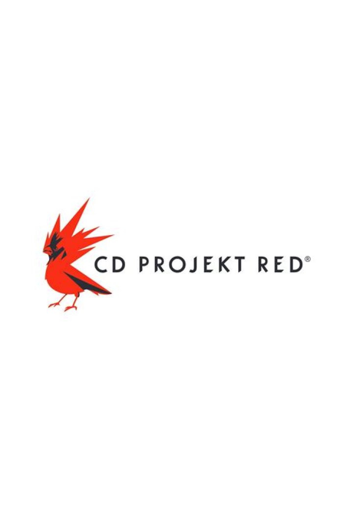 Does CD Projekt RED pay dividends?