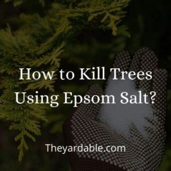 Does Epsom salt kill tree roots?
