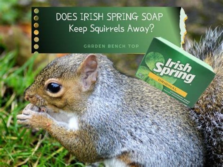 Does Irish Spring soap repel animals?