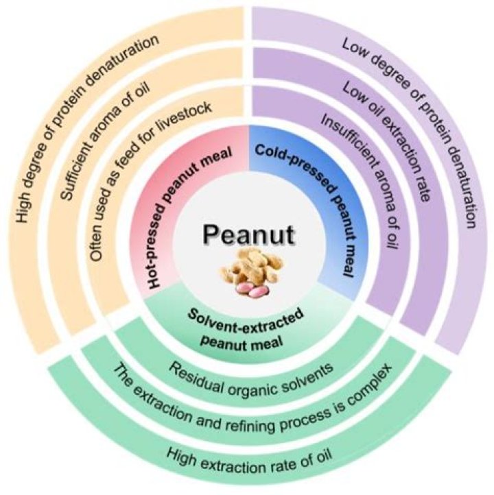 Does peanuts increase cholesterol?