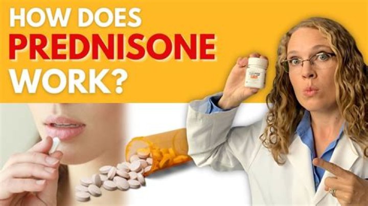 Does prednisone lose effectiveness over time?