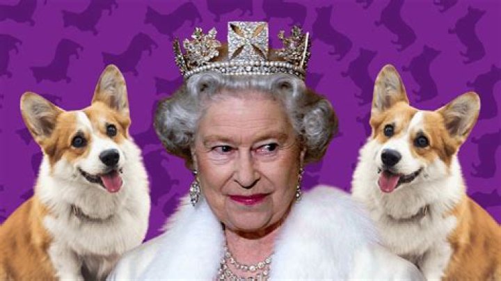 Does Queen Elizabeth have a dog?