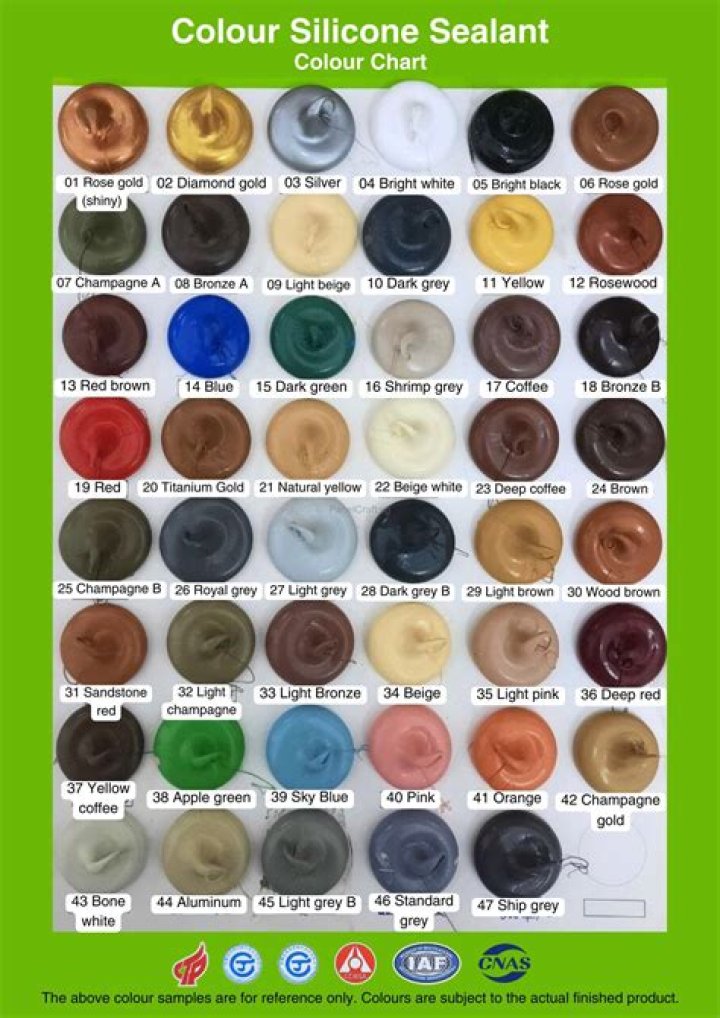 Does silicone stick to paint?