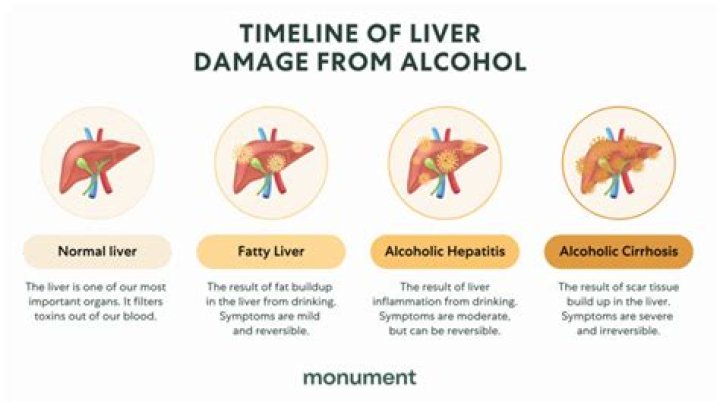 Does sleep heal your liver?