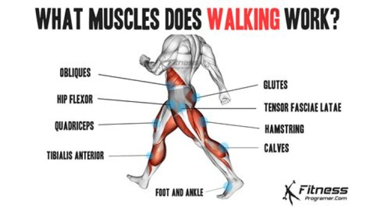 Does walking actually do anything?