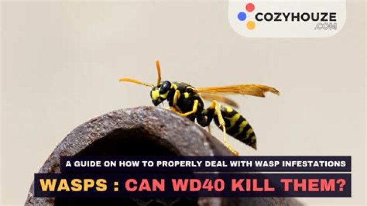 Does wd40 deter wasps?
