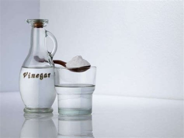 Does white vinegar get rid of mice?