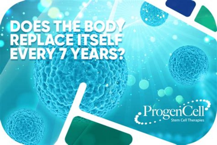 Does your life change every 7 years?