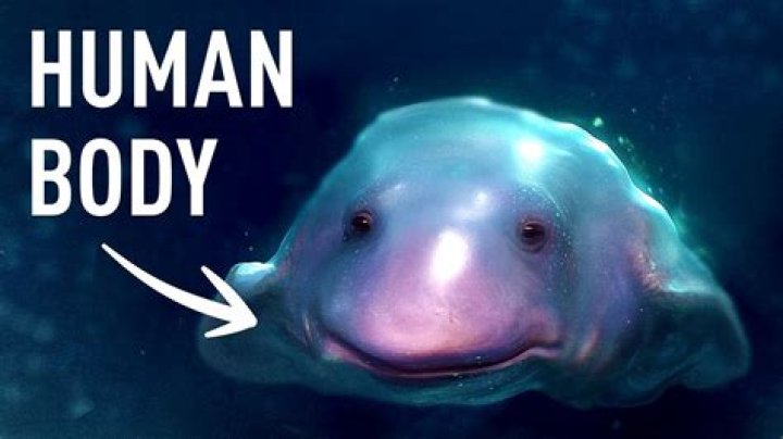 Has any human been to Pluto?