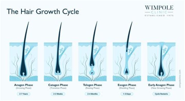 How can you tell if your hair is growing?