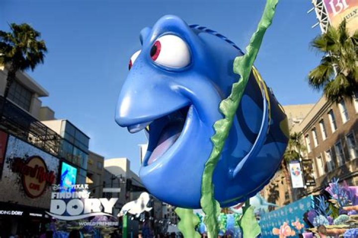 How did Dory lose her memory?