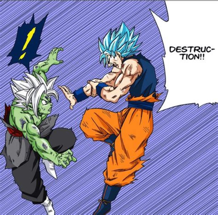 How did Goku survive hakai?