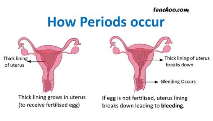 How do girls get periods?