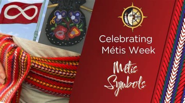How do I get Metis on Metis network?