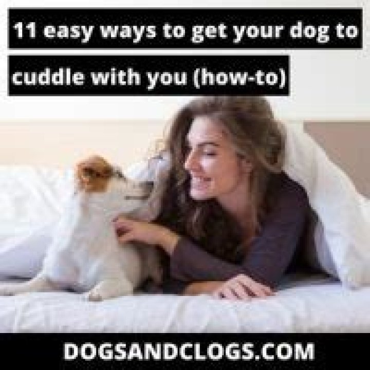 How do I get my dog to cuddle with me?