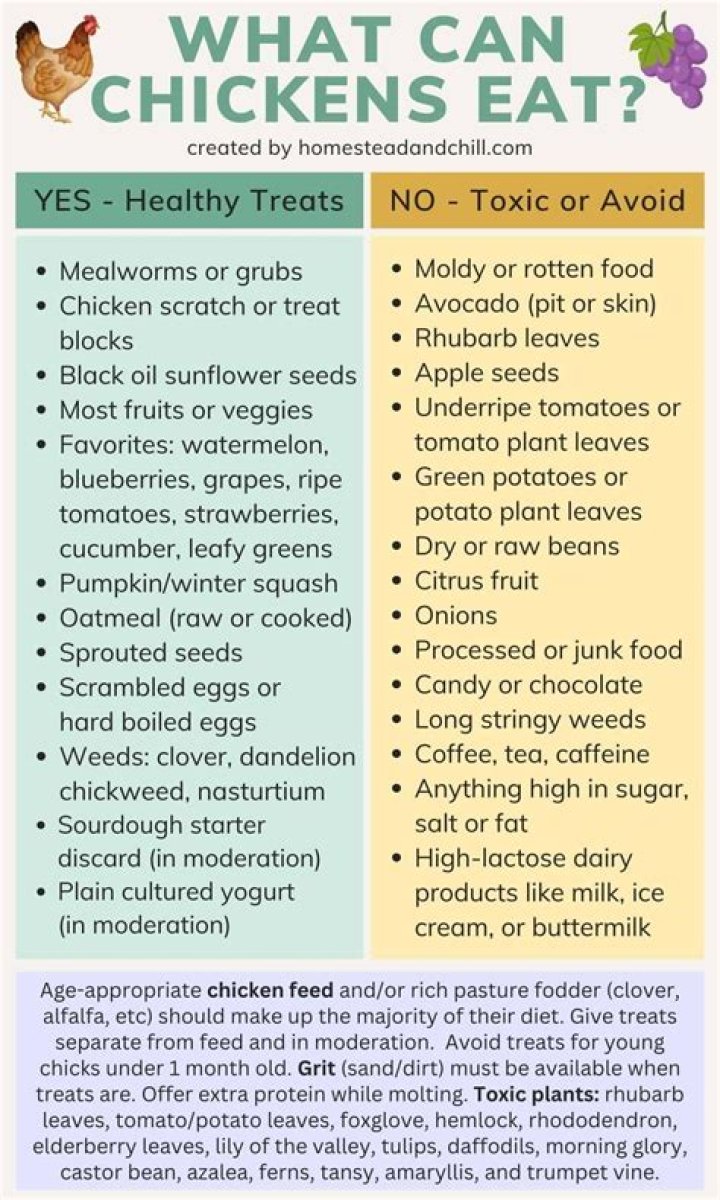 How do I know if my chickens are eating enough?