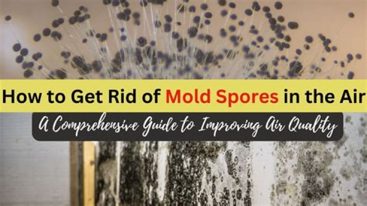 How do I test my air for mold spores?