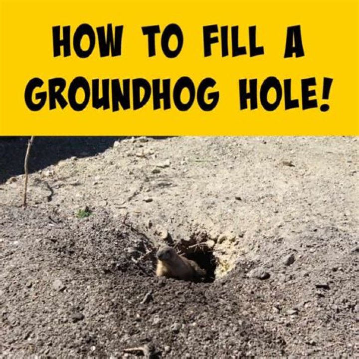 How do you block a groundhog hole?