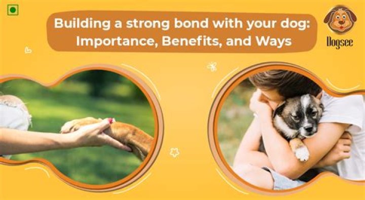 How do you build a strong bond with someone?