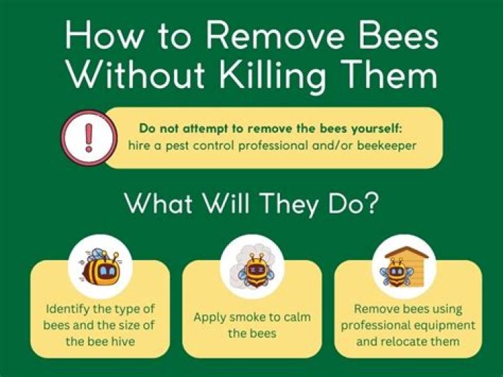 How do you chase away bees without killing them?