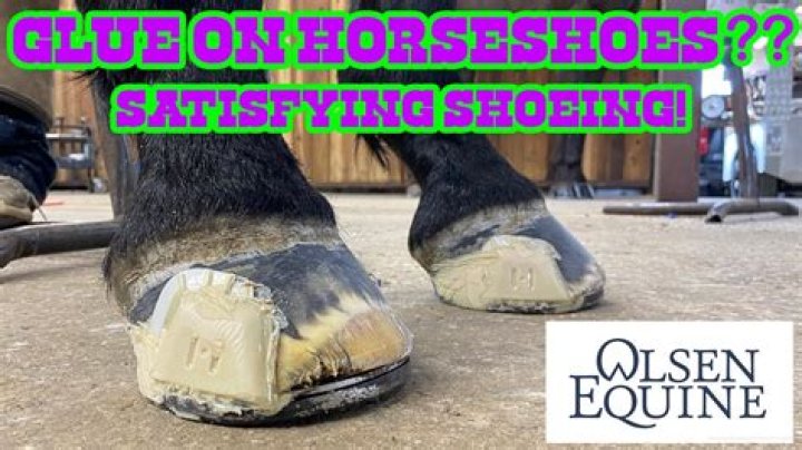 How do you clean aluminum horseshoes?