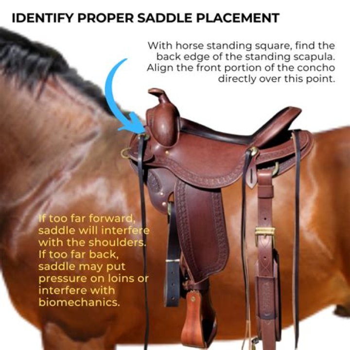 How do you condition a saddle?