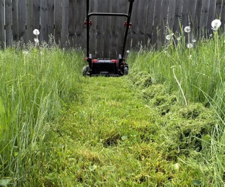 How do you fix overgrown weeds in your yard?