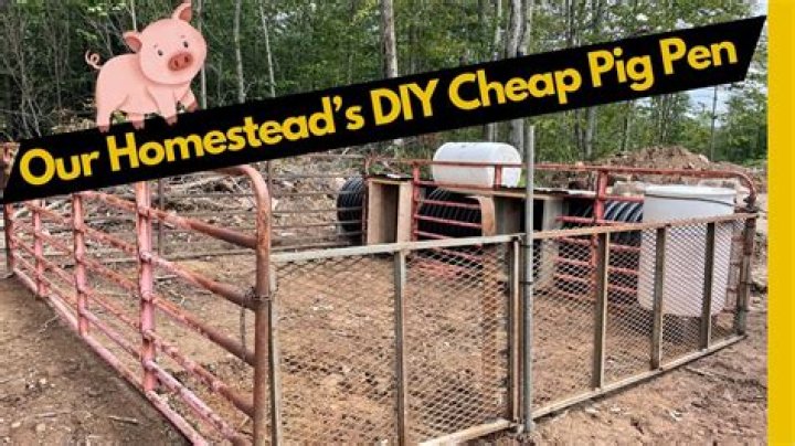 How do you keep a pig pen from smelling?