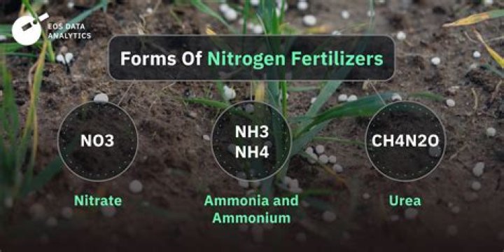 How do you make nitrogen fertilizer at home?