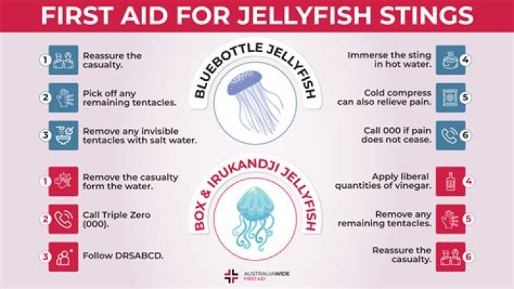 How do you pick up jellyfish without getting stung?