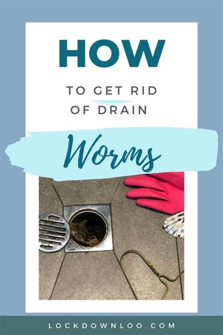 How do you prevent drain worms?