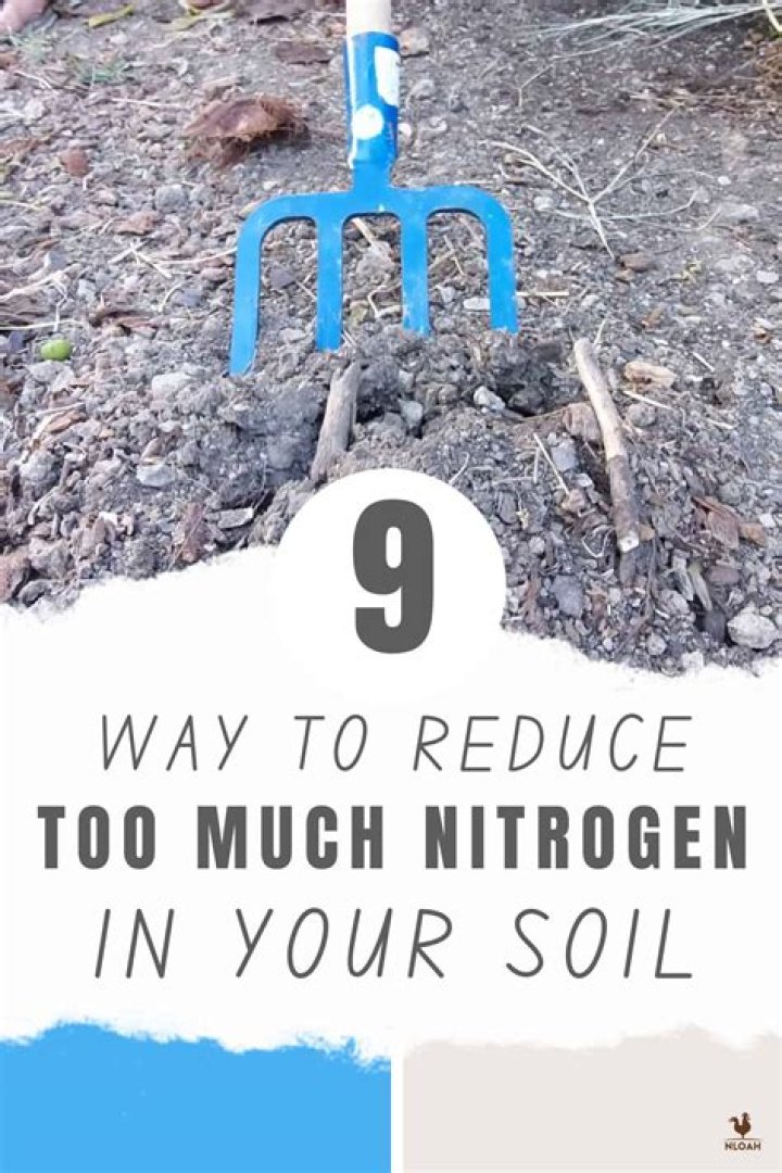How do you remove excess nitrogen from soil?