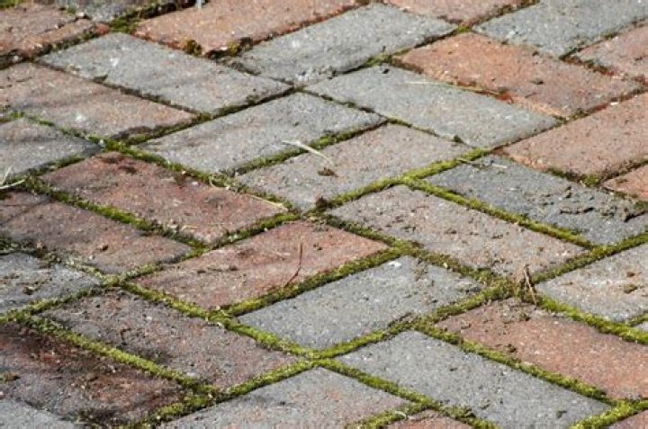 How do you stop moss from growing between pavers?