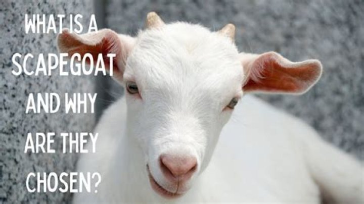 How do you tell if you are a scapegoat?