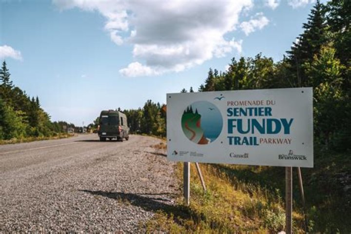 How does Fundy feel about shipping?