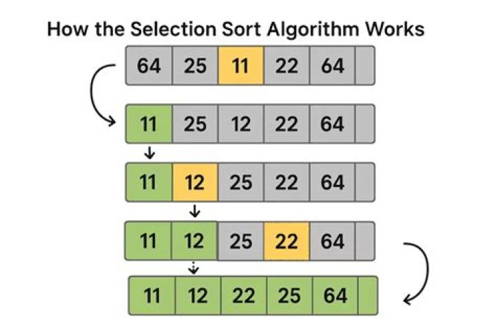 How does selection sort work?