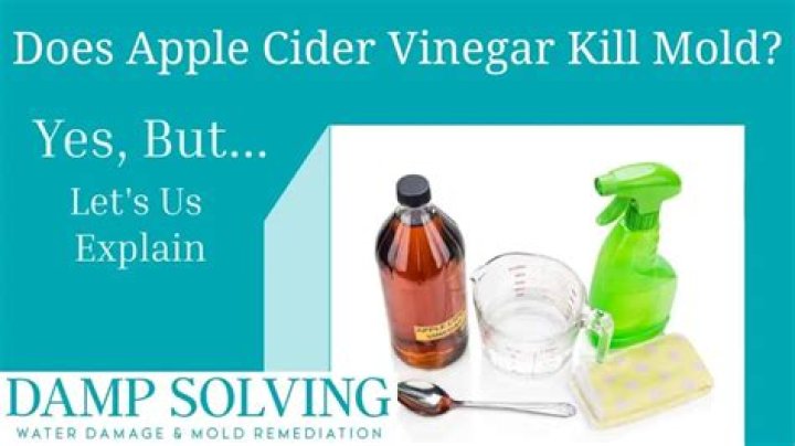 How does vinegar stop colors from bleeding?