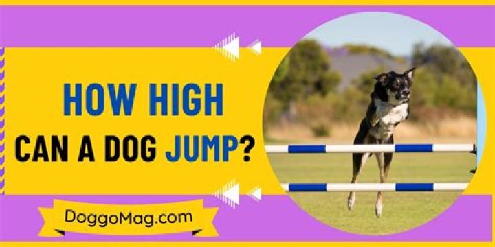 How high can a cello go?