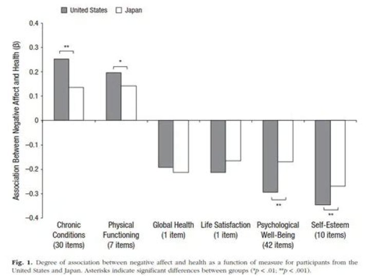 How is mental illness seen in Japan?