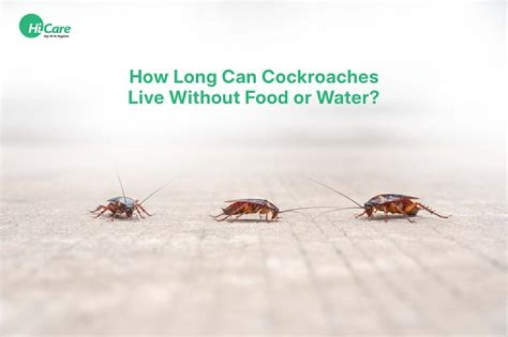 How long can cockroaches live in a vacuum?