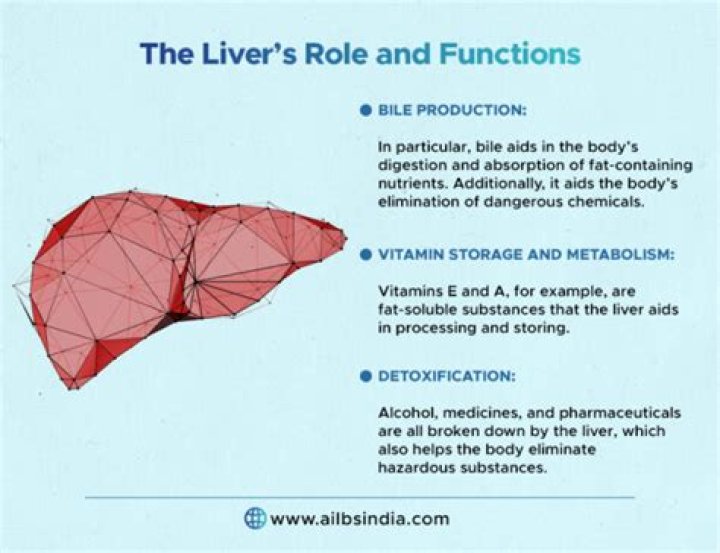How long can you live without a liver?