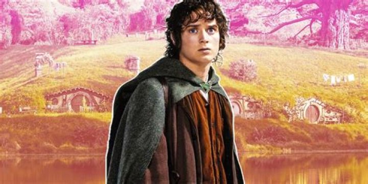 How long did Frodo stay in the Shire after destroying the ring?