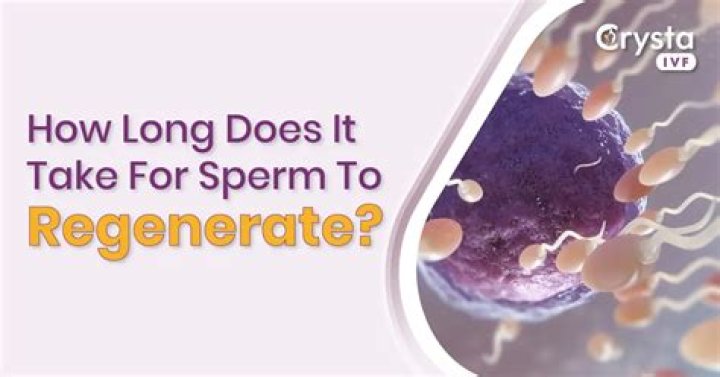 How long does it take for sperm to regenerate after hot tub?