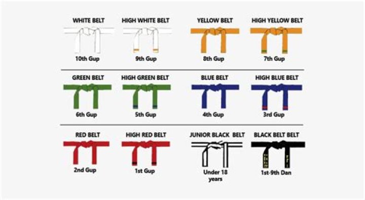How many black belts are in the US?
