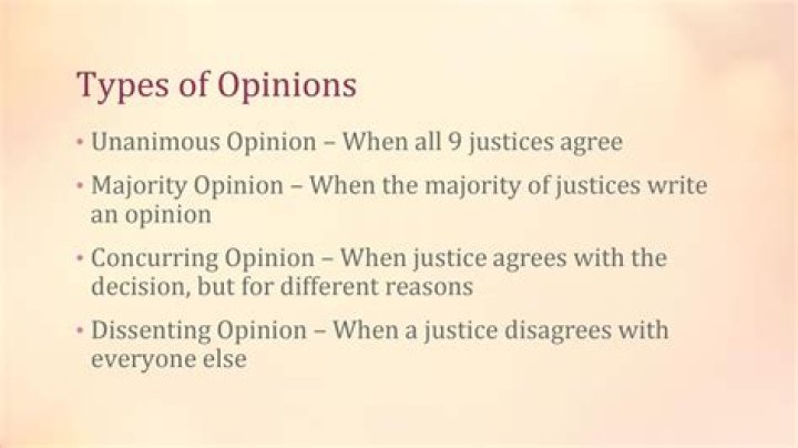 How many general types of opinions are there?